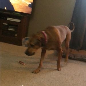 Meet your Posher, Michele